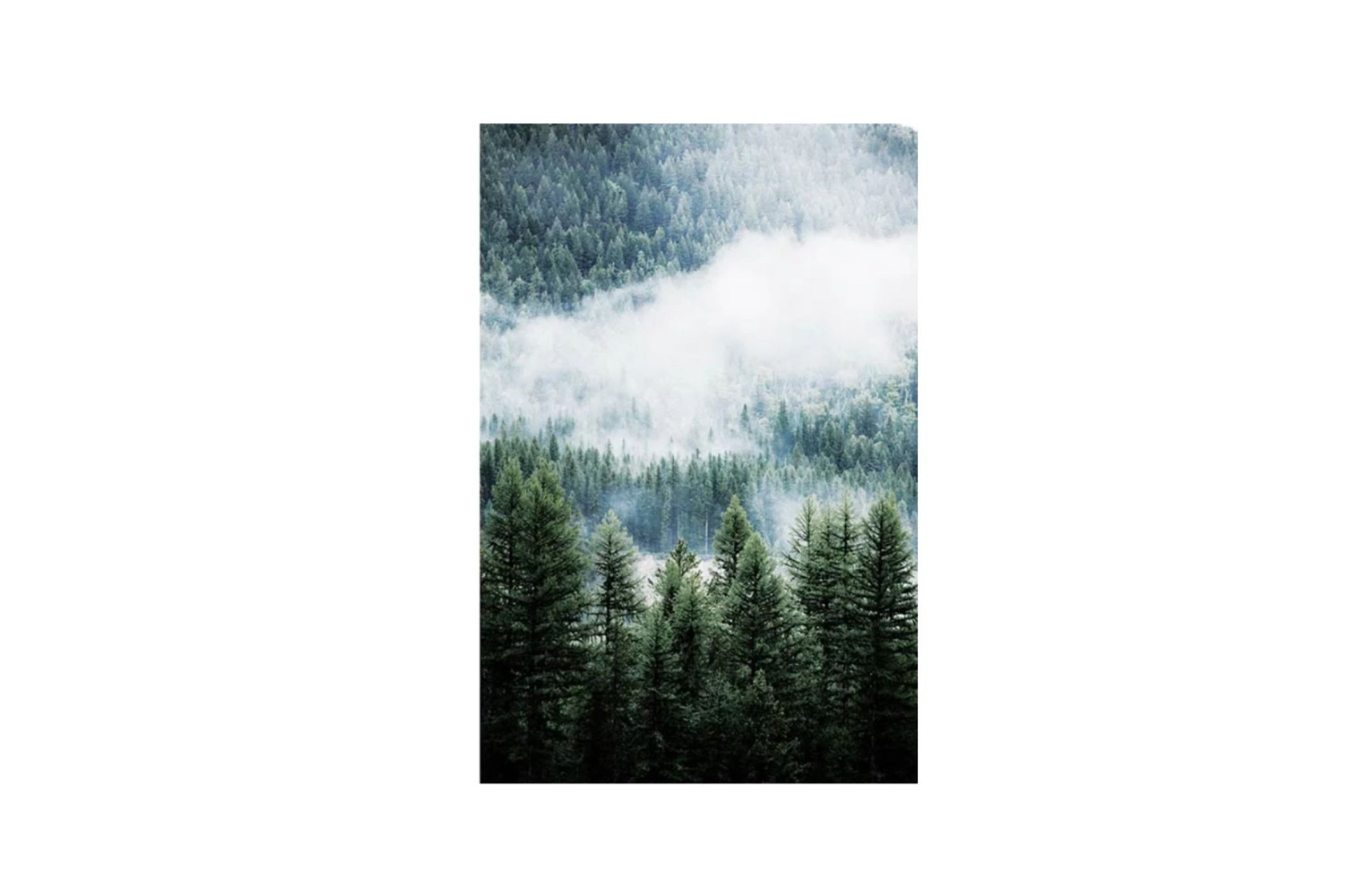 Tableau BRUME SAPIN