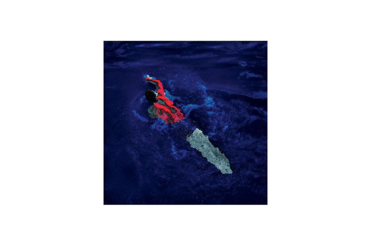 Tableau SWIMMER