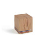 Bout de canapé TRUNK