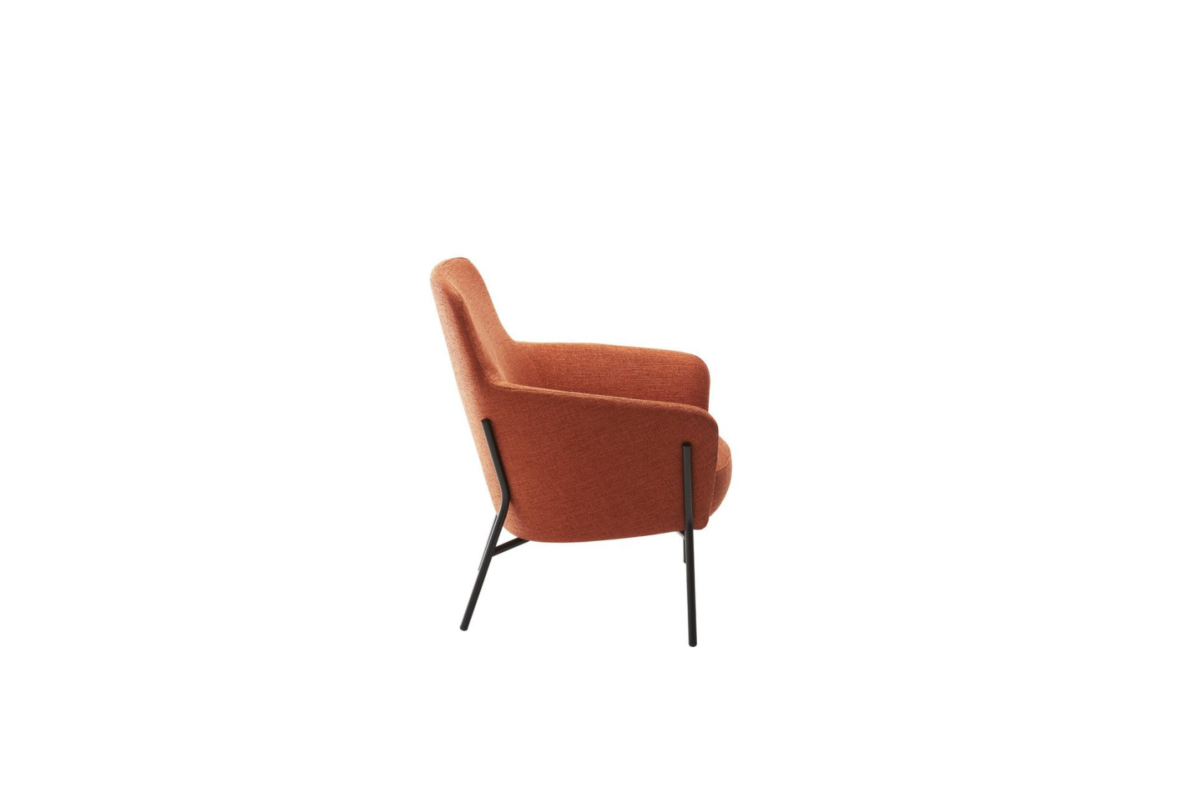 Fauteuil LION