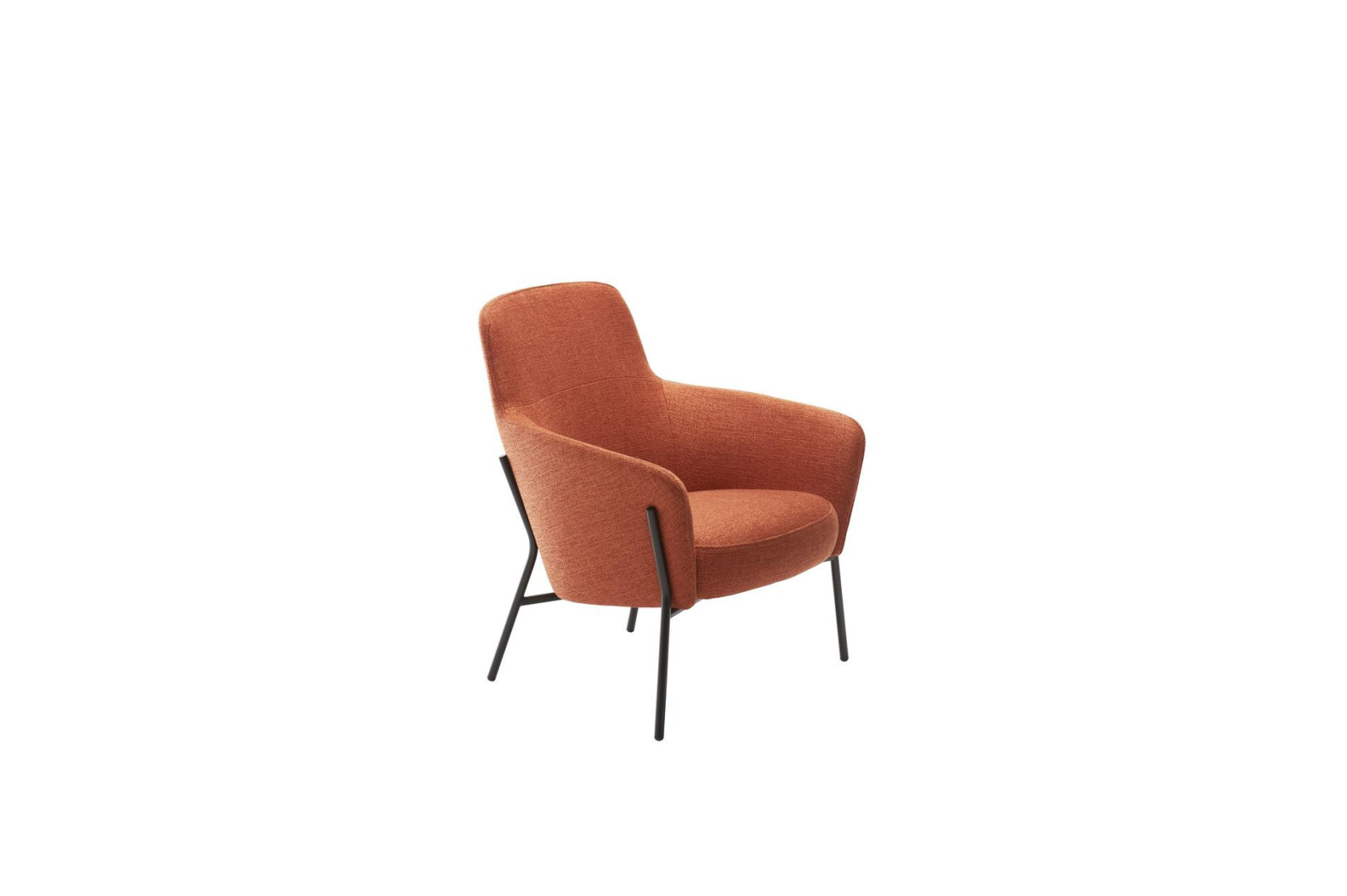 Fauteuil LION
