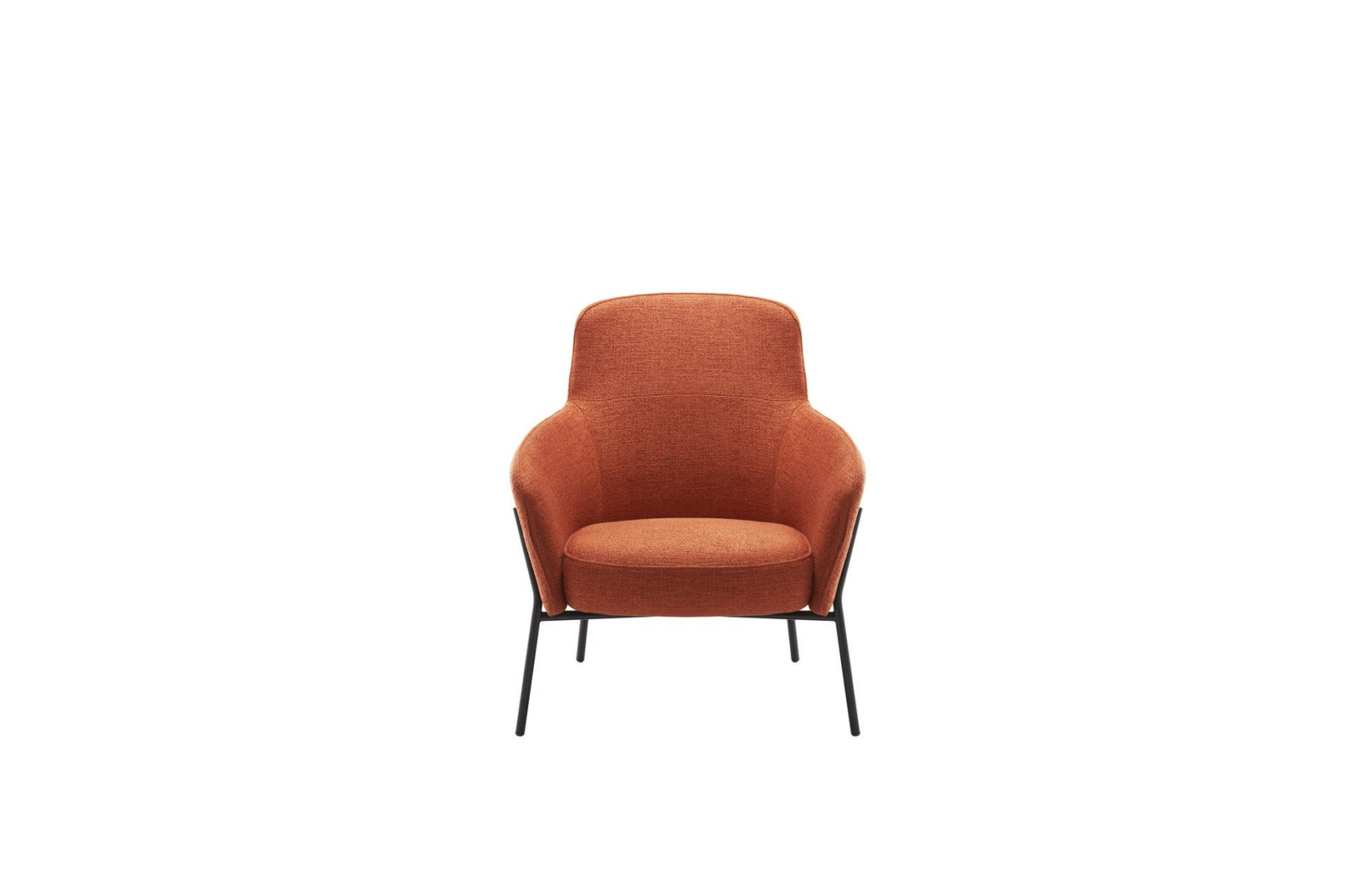 Fauteuil LION